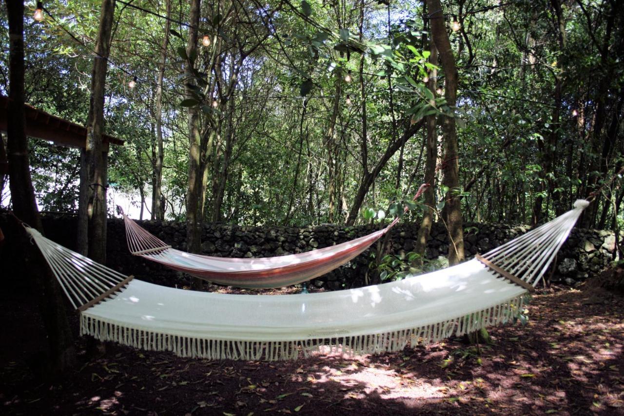 Azores Casa Da Mata Wellness Spa São Vicente Ferreira エクステリア 写真